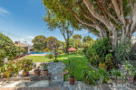 Casa Parko - Image 7